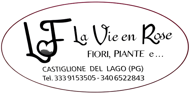 LF LA VIE EN ROSE S.R.L. logo